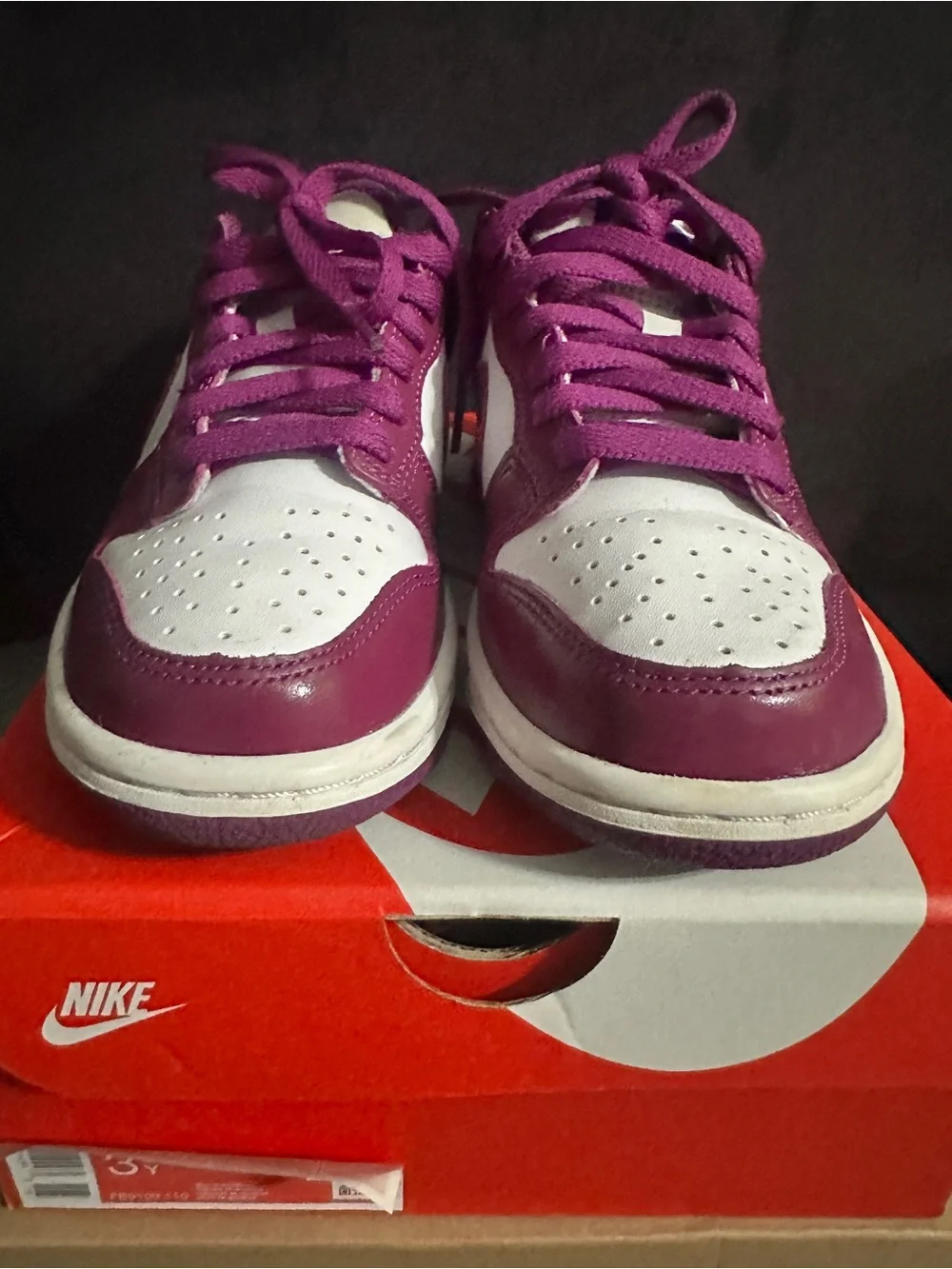 Nike Dunk Low Purple and White Leather Sneakers